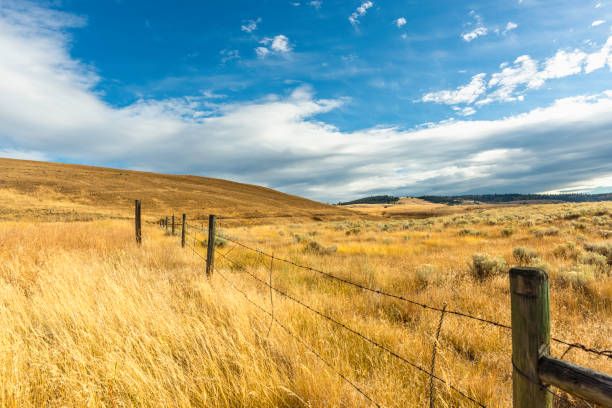 istock blue sky with white fluffy clouds stretched over the field on the hills with yellow grass. 1280670863