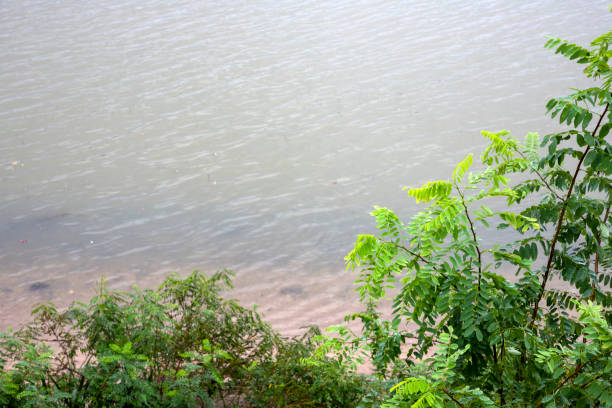 Han River scenery on a rainy day afternoon