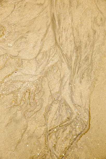 istock Image of sand in beach. Texture in the ground caused by water and wind. 1280673621