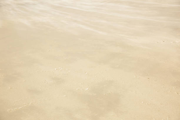 istock Image of sand in beach. Texture in the ground caused by water and wind. 1280673640