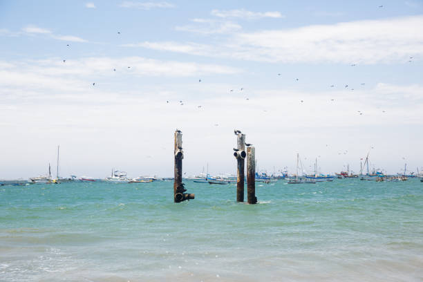 Mancora, Piura / Peru. October 9th 2018: Images of beach in north Peru. Seagulls and sea birds.