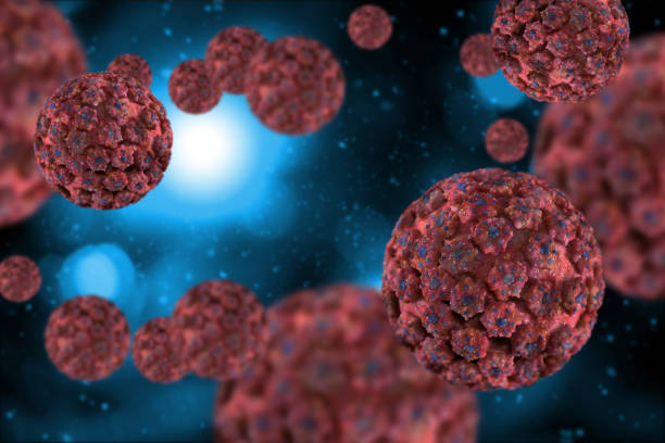istock HPV Virus Infection 3D Illustration 1280676089