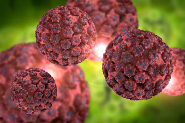 HPV Virus Infection 3D Illustration stock photo