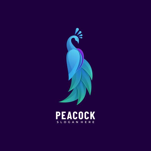 wektor ilustracja peacock gradient kolorowy styl. - paw stock illustrations