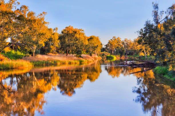 istock D Dubbo yellow footbridge 1280683819