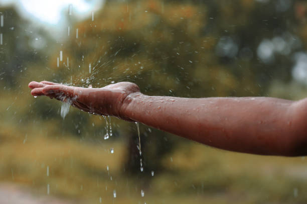 rain water falling on hand - water human hand stream clean imagens e fotografias de stock