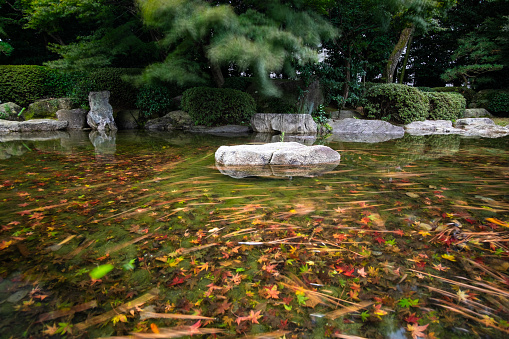 Kyoto, Japan - May 20, 2015: Ninomaru Garden, a traditional Japanese landscape garden with a large pond, ornamental stones and manicured pine trees in the grounds of Nijo Castle in Kyoto Japan