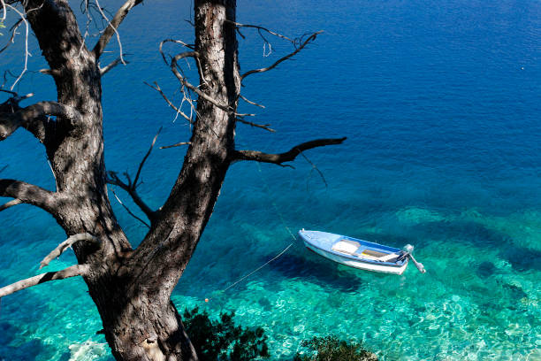 A small boat from Mljet, Croatia