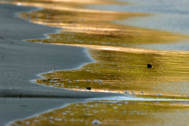 Sandy Beach on Saplunara, Mljet island, Croatia