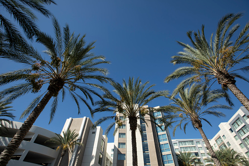 Daytime ground level view of the skyline of Anaheim, California, USA.