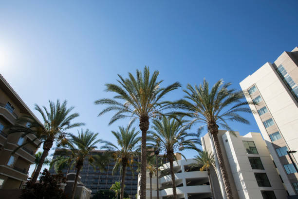 istock Anaheim California Skyline 1280688577
