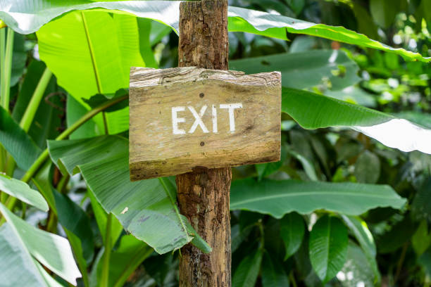 istock Text exit on a wooden board in a rainforest jungle of tropical Bali island, Indonesia. Exit wooden sign inscription in the asian tropics. 1280689248