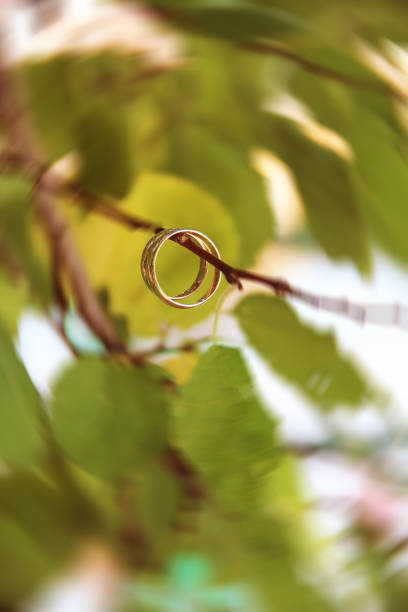 istock beautiful gold wedding on a twig with leaves 1280690483