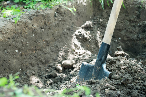 istock Shovel to dig on the farm 1280691513