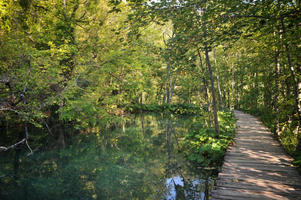 istock Outstanding natural landmark Plitvice lakes, Croatia 1280692450