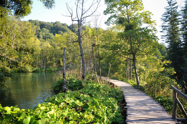 istock Outstanding natural landmark Plitvice lakes, Croatia 1280692475