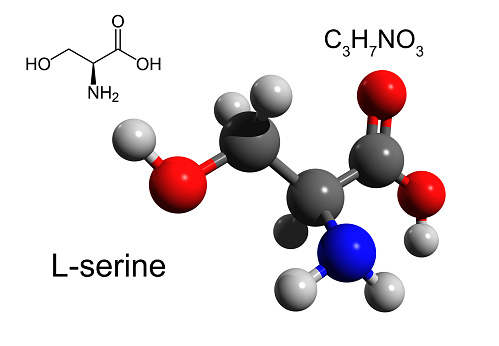 Serine is the non-essential amino acid. 3D ball-and-stick model, white background