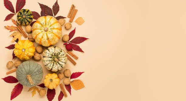 Creative autumn, thanksgiving, fall, halloween concept. Top view. Autumn holiday composition with pumpkins, nuts and dry leaves on paper beige color background. Creative autumn, thanksgiving, fall, halloween concept. Top view, copy space, flat lay. thanksgiving holiday travel stock pictures, royalty-free photos & images