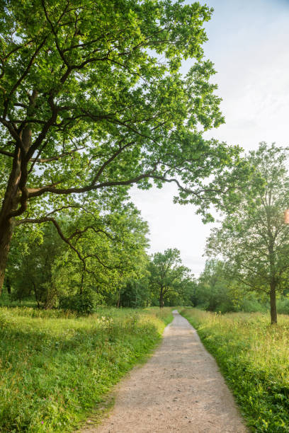 istock Landscape of the city park with paths 1280702016