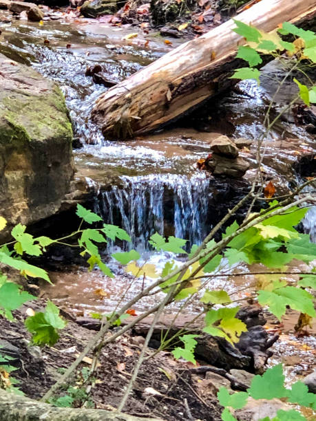 Photo of Small waterfall trickling down rocks in Michigan