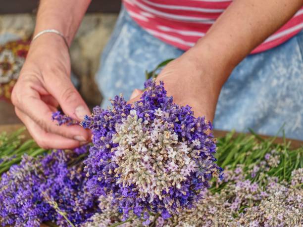 istock Girl Hands With Scissors And String Preparing Lavender Flowers Bunches On Wooden Table. 1280704454
