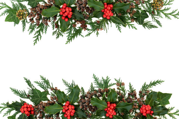 istock Christmas Holly and Winter Greenery Background Border 1280707325