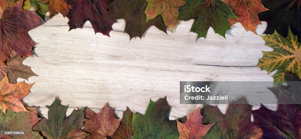 Осенняя рама из упавших кленовых листьев, лежащих на деревянной доске - Стоковые фото Без людей роялти-фри