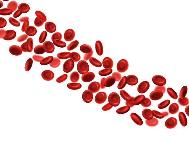 czerwone krwinki, medyczne erytrocyty hemoglobiny - human cardiovascular system blood human blood vessel platelet stock illustrations