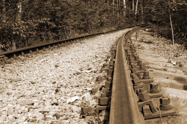 Old Railroad Tracks Converging Into Distance