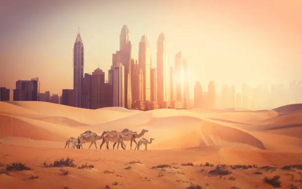 Photomontage of Dubai city in the desert with camels