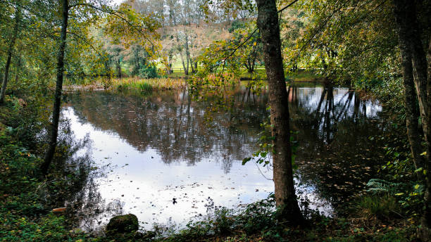 istock Garden pond, promenade, tree reflections. 1280711116