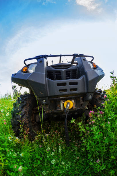 istock Quad bike in the meadow 1280711784