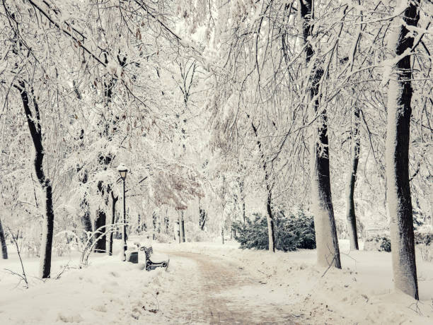 istock Winter city park 1280715264