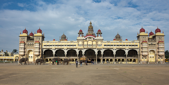 Royal Elephants being taken for a Parade rehearsal in  the early morning for the Dasara Vijayadashmi festival to be held in Ambavilas Palace  during late October at Mysuru in Karnataka.