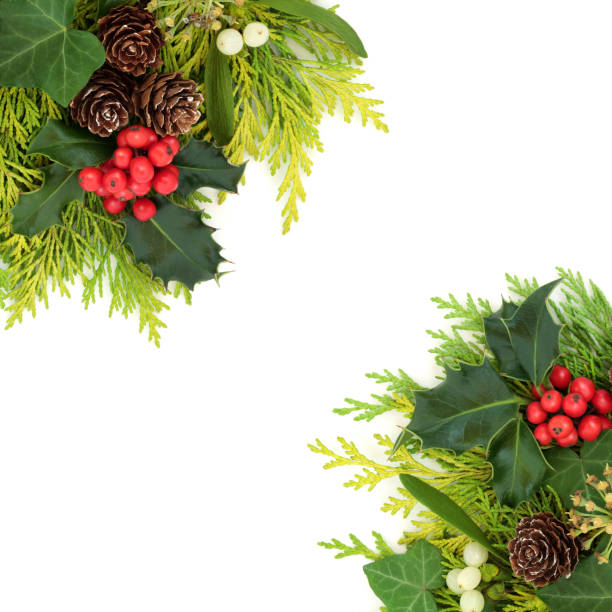 istock Traditional Winter Holly and Flora Border 1280715706