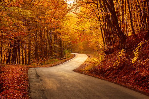 istock Beautiful autumn landscape 1280716531