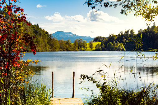 Island of Reichenau, Germany: view of lake constance - Taken from the island of Reichnau