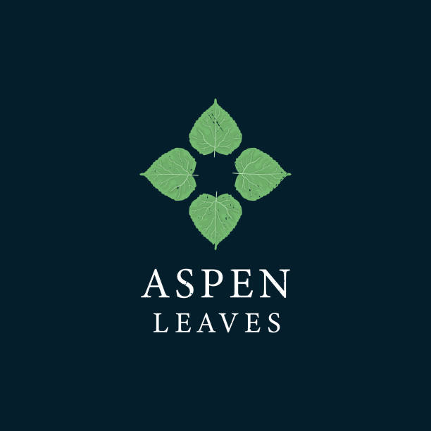 Aspen leaves rounded vintage logo Aspen leaves rounded vintage logo aspen leaf stock illustrations