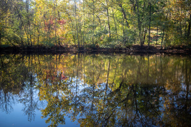 istock Stunning Autumn foliage in reflected forest lake 1280717743