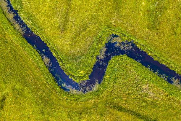 istock Aerial top down view Koningsdiep 1280719173