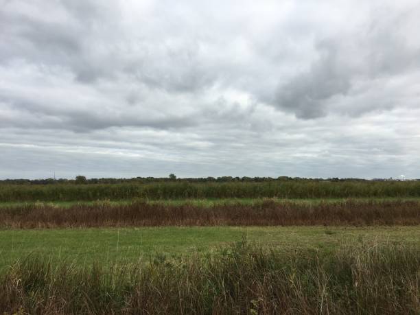 istock Landscape near Bremen 1280720123