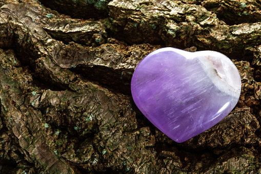 Amethyst heart. Stone lie on a tree bark