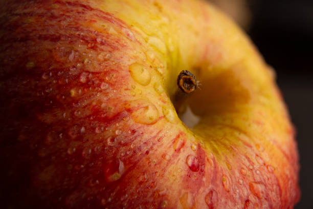 fuji gala apple seen very close up with fresh water - macintosh apple imagens e fotografias de stock