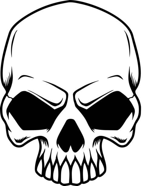 ilustraciones, imágenes clip art, dibujos animados e iconos de stock de ilustración de cráneo de halloween sonriente. elemento de diseño para cartel, tarjeta, banner, signo, emblema. ilustración vectorial - cráneo