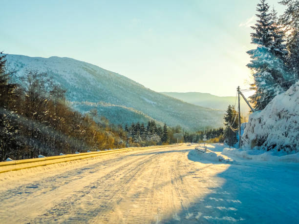 istock Driving at sunrise through mountains and forests in Norway. 1280727014