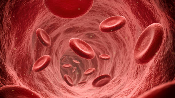 Red blood cells flowing through the blood stream Endoscopic view of flowing red blood cells in a vein, illustration render red blood cell stock pictures, royalty-free photos & images