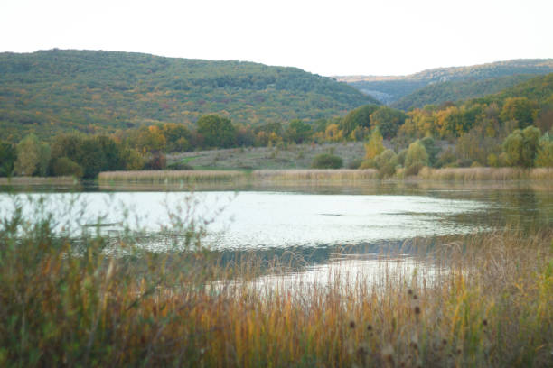 istock small lake surrounded by colorful autumn foliage 1280728126