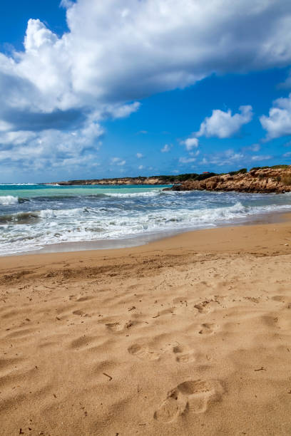 istock Coral Bay in Cyprus 1280728372