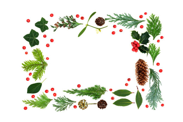 istock Traditional Natural Winter Flora Background Border 1280730309