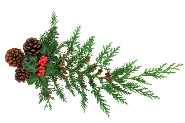 istock Natural Winter Greenery with Holly Cedar & Pine Cones 1280730311